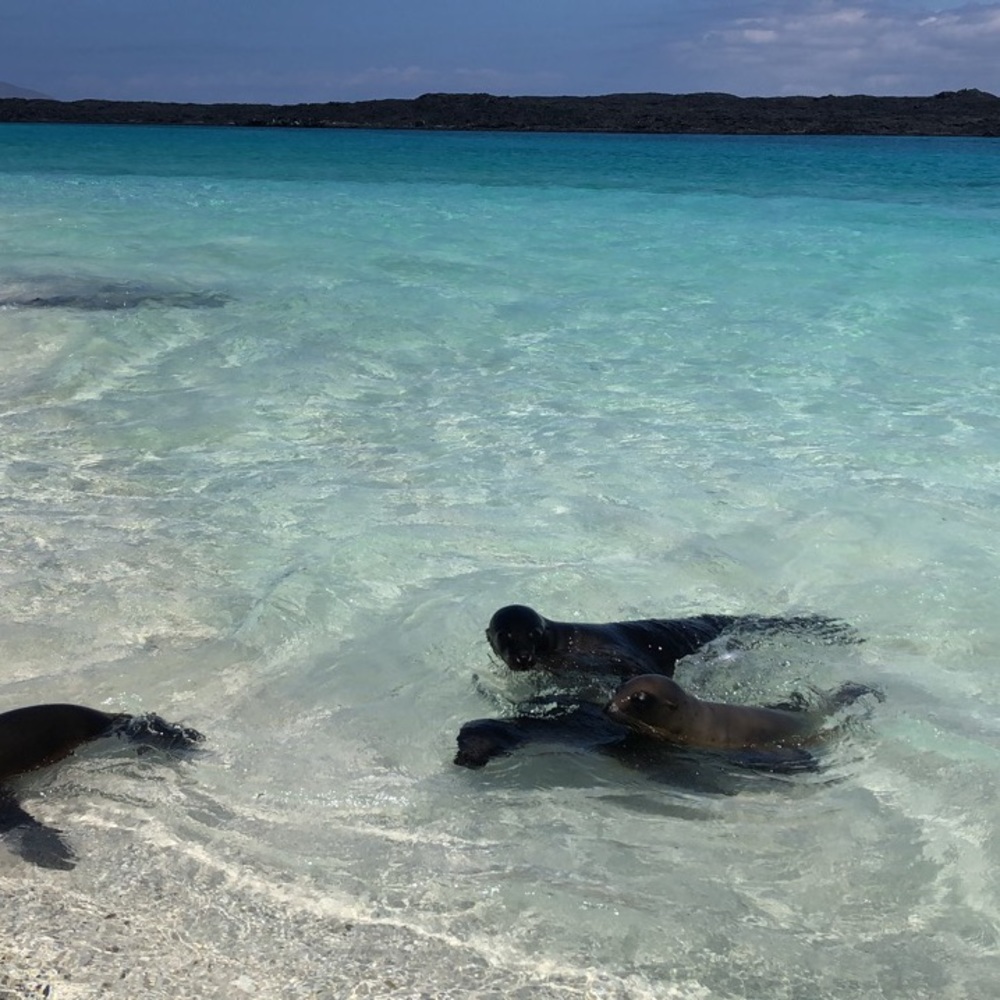 Meet your Posher, Dylan